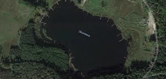 Okuniewo